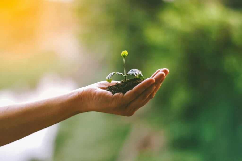 © https://www.pexels.com/de-de/@akilmazumder/