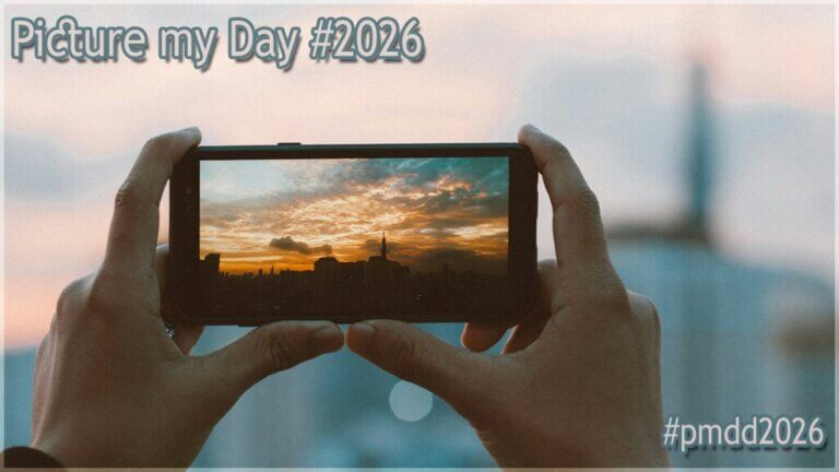 Picture my day